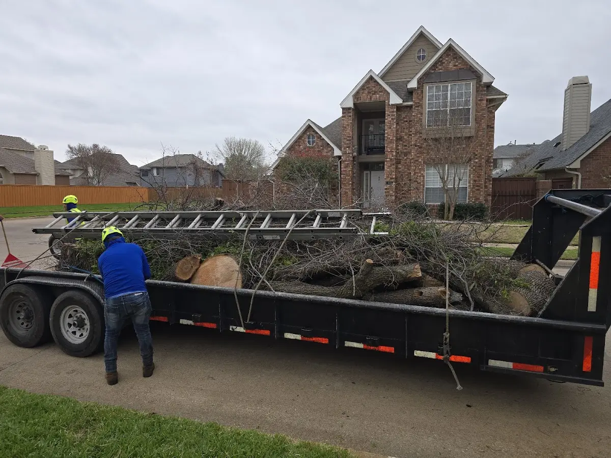Expert Tree Removal with proper safety equipment in Fuquay Varina